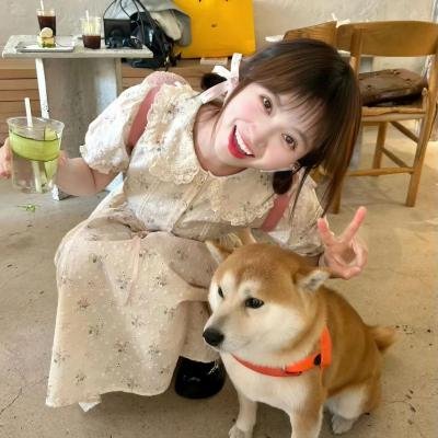 女主播风云
