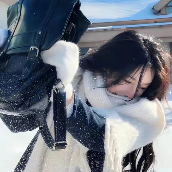 花园蜘蛛